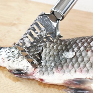 Рыбочистка скребок для очистки рыбьей чешуи — сталь