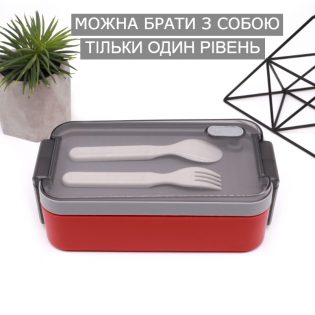 lunchbox transformer 12(1)